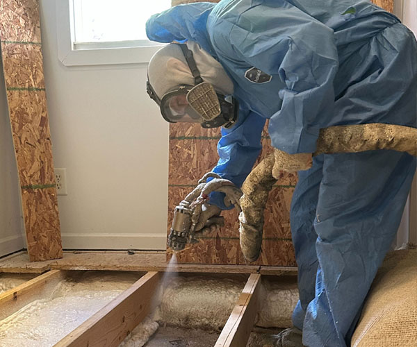 Sprayed a R-38 of closed-cell foam in the floor.